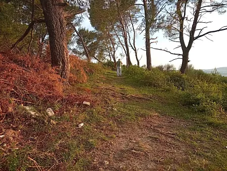 Urbanisiertes Grundstück mit genehmigtem Projekt und Meerblick in Mrčevac — photo 3